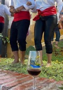 Cartel oficial de la Pisa de la Uva en Manilva 2025 durante la Fiesta de la Vendimia en la Plaza de la Vendimia.